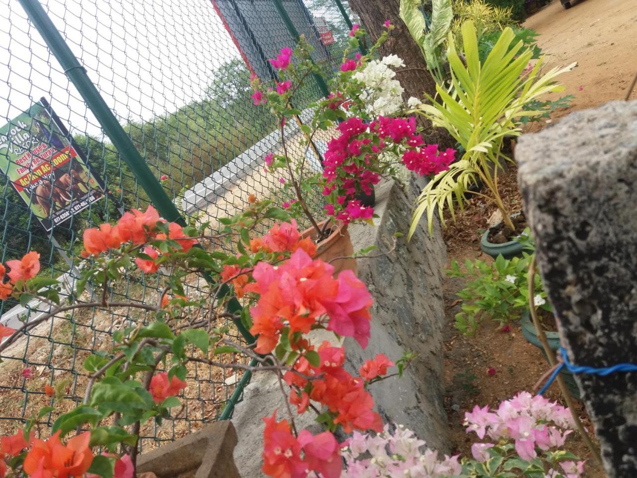Peacock Villa Resort اوداوالاوي المظهر الخارجي الصورة